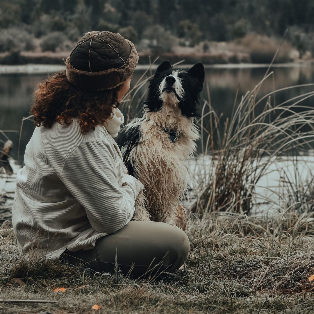 A Pawsitively Perfect Friend - How Dogs Help Improve Our Mental Health